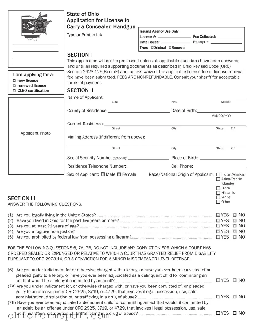 Blank Ohio Application Concealed Template