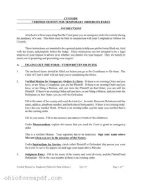 Blank Ex Parte Temporary Custody Order Ohio Template