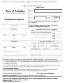 Blank Ohio Order Of Protection Template